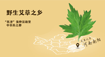 艾草越嫩越好，還是越久越好？悄悄告訴你：艾草這樣用，效果最好！
