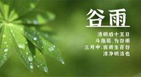 【二十四節(jié)氣灸】谷雨時節(jié)，用艾為您的健康加上一道保險！