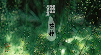 【二十四節(jié)氣灸】芒種節(jié)氣，培土補(bǔ)脾、養(yǎng)陰生津！艾灸這些穴位事半功倍！