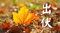 【三伏養(yǎng)生】出伏后做好養(yǎng)生很關(guān)鍵！一行要注意！