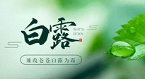 【二十四節(jié)氣灸】白露涼爽，養(yǎng)心肝脾胃、滋陰潤肺是關(guān)鍵！