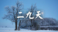 【三九養(yǎng)生】冬二九，扶陽補(bǔ)腎氣，讓你陽氣充足一整年！