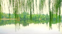 【養(yǎng)生知識】已入五九，六九將至，五九的養(yǎng)生秘訣，你知道嗎？