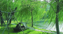 【養(yǎng)生知識】元宵入六九，春季已至，六九天的養(yǎng)生知識你知道多少？