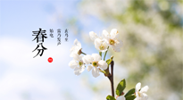 【二十四節(jié)氣灸】春分，平分了大地晝夜；艾灸，平衡了身體陰陽！