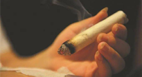 【艾灸知識】春暖花開，衣衫漸薄，再不減肥，身上的肉肉可藏不住了！