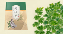 【行業(yè)資訊】國內首部艾草專著《南陽艾》，在南陽新書首發(fā)！