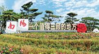 【行業(yè)資訊】南陽一個值得三顧的地方！“丹江水”“仙草艾”成為 “南陽禮物”新爆款！