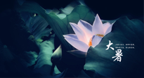 【二十四節(jié)氣灸】趁大暑好好艾灸，才不辜負(fù)三伏天的驕陽！