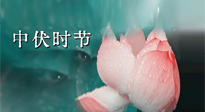 【艾灸三伏天】中伏：三伏灸的關(guān)鍵轉(zhuǎn)折點(diǎn)！“灸”除病根的大好時(shí)機(jī)！