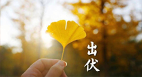 【艾灸三伏天】出伏啦！三防三宜兩穴位，防止身體“秋后算賬”！