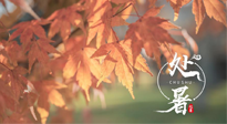 【二十四節(jié)氣灸】處暑，冬病夏治倒計(jì)時(shí)！秋涼真的要來(lái)了！