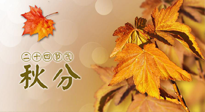 【二十四節(jié)氣灸】秋分節(jié)氣，平衡陰陽，巧用艾灸，潤燥養(yǎng)肺是關(guān)鍵！