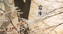 【二十四節(jié)氣灸】霜降節(jié)氣：艾灸四穴，護(hù)您冬天安然無(wú)恙！