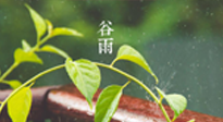 【二十四節(jié)氣灸】谷雨節(jié)氣脾土濕，艾灸降濕濁，脾旺不受邪！
