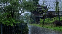 【艾灸知識】多雨的日子里，艾灸會不會加重濕氣呢？