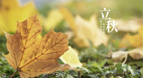 【節(jié)氣養(yǎng)生】甲辰立秋，“2做”、“2不做”，護好我們身體的正氣，預防外邪的侵襲！