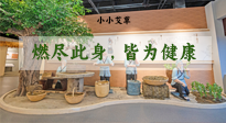 【艾草知識(shí)】小小艾草，渾身是寶，一生燃盡此身，皆為健康！